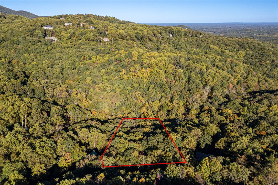 Landrum, South Carolina 29356, United States, ,Land,Active,232314