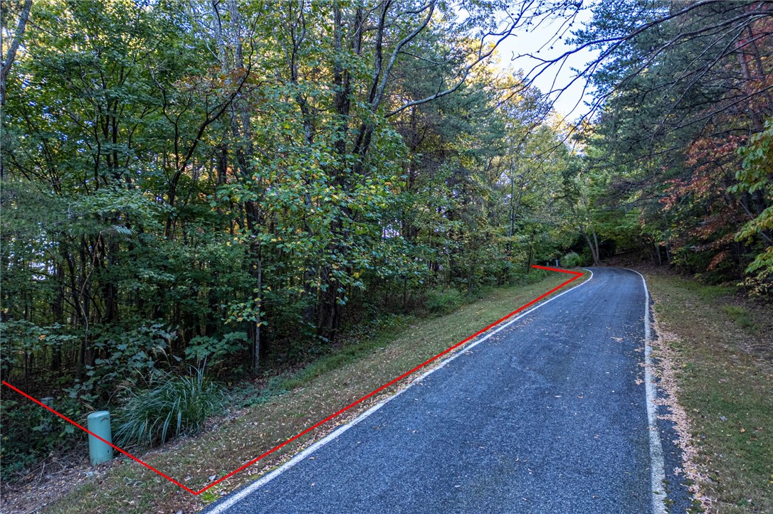 Landrum, South Carolina 29356, United States, ,Land,Active,232314