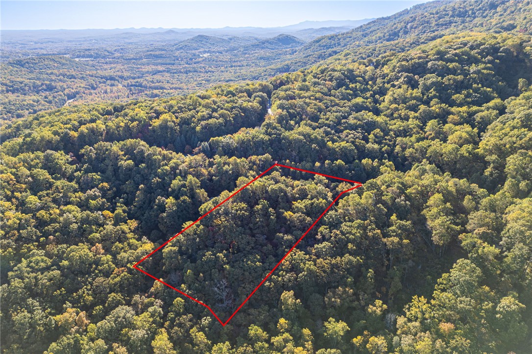 Landrum, South Carolina 29356, United States, ,Land,Active,232314