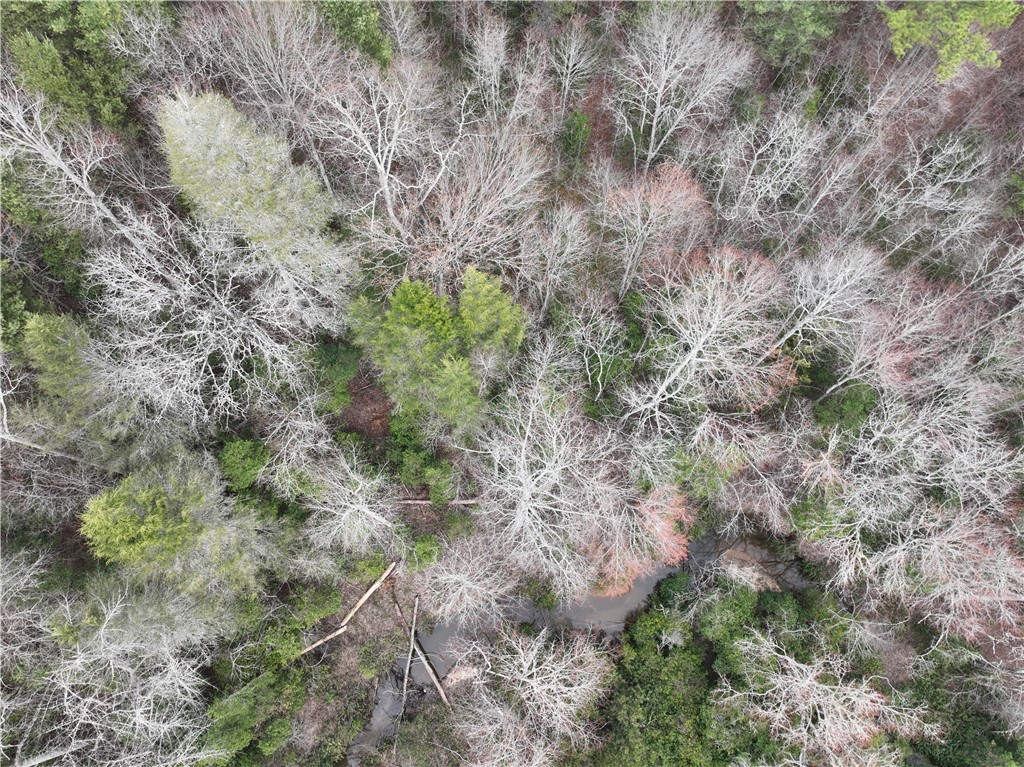 07 Battlecreek Road, Long Creek, South Carolina image 11