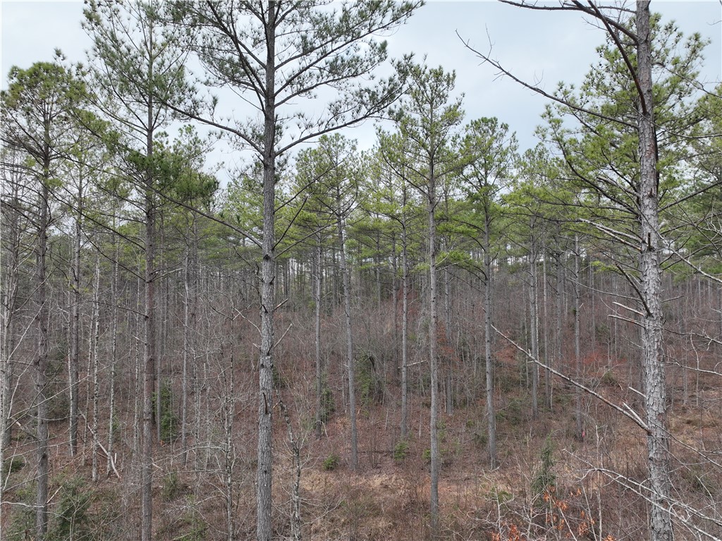 07 Battlecreek Road, Long Creek, South Carolina image 16