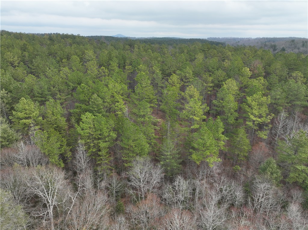 07 Battlecreek Road, Long Creek, South Carolina image 14