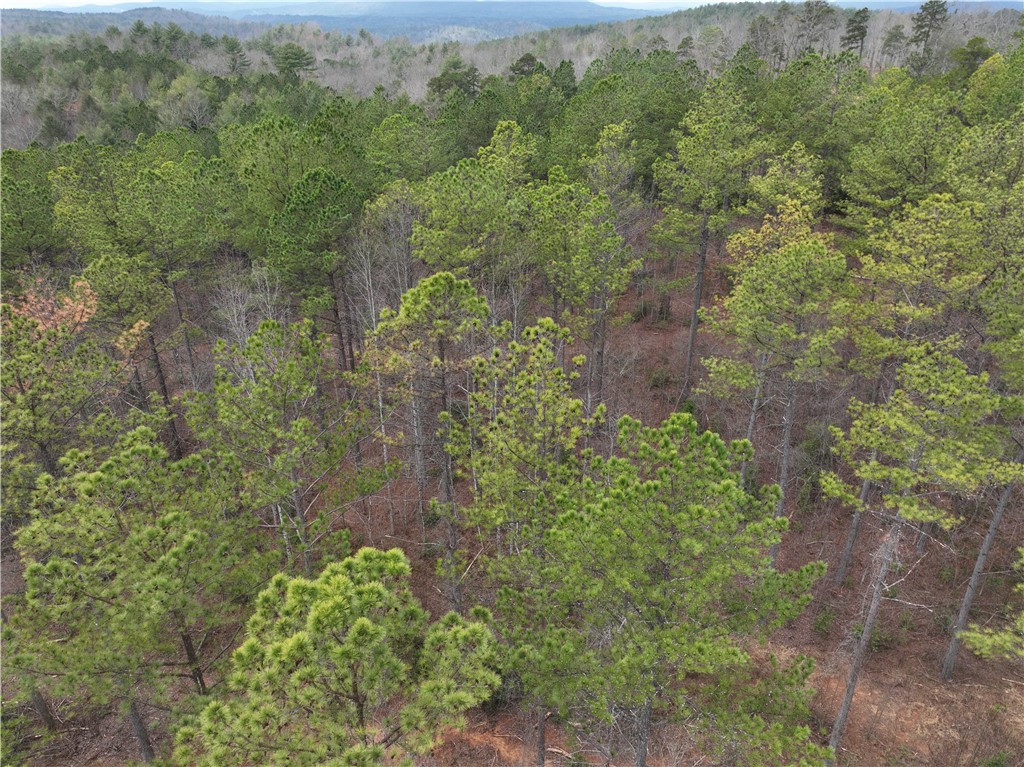 07 Battlecreek Road, Long Creek, South Carolina image 18