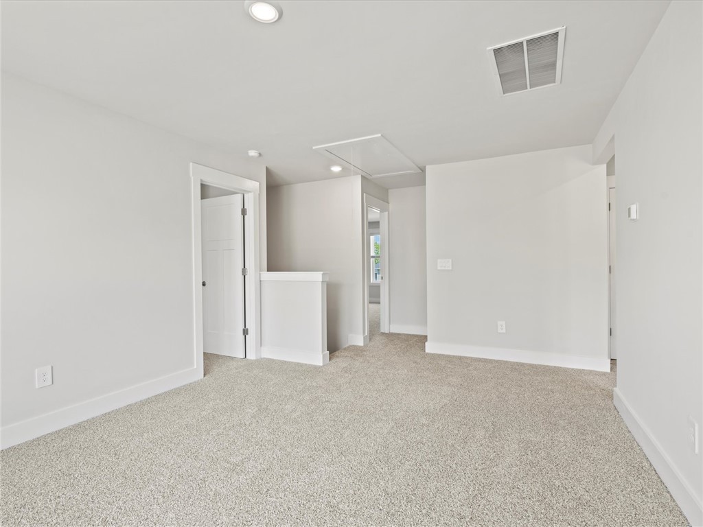 113 Veracruz Court, Greenville, South Carolina image 18
