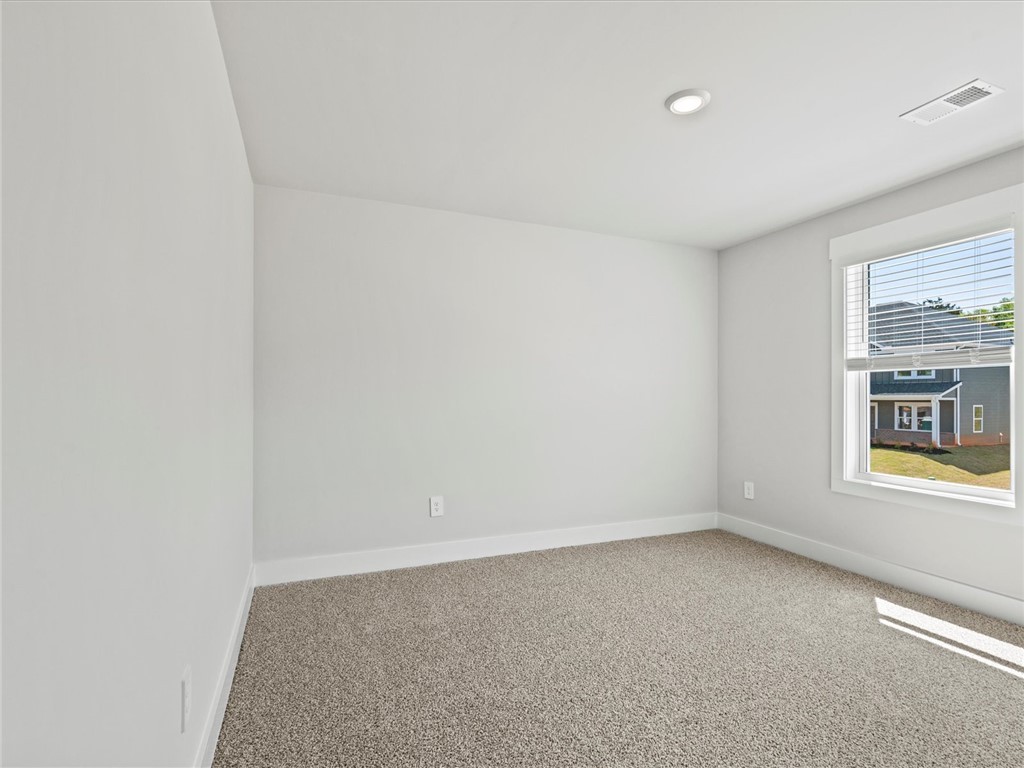113 Veracruz Court, Greenville, South Carolina image 31