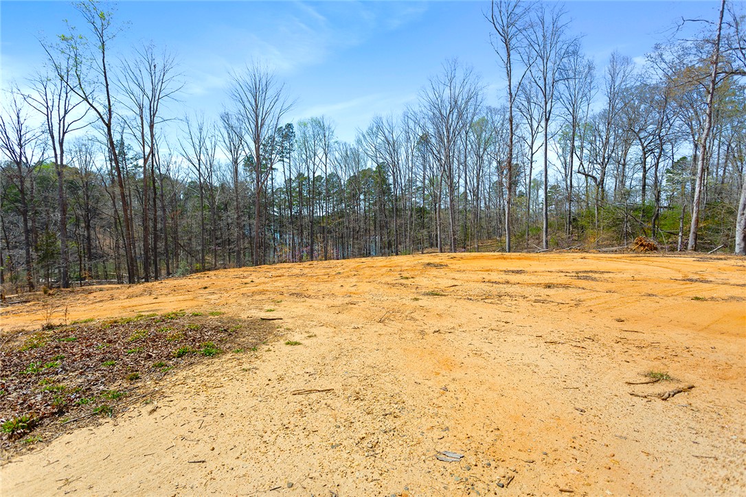 605 Elizabeth (lot 1) Road, Westminster, South Carolina image 13