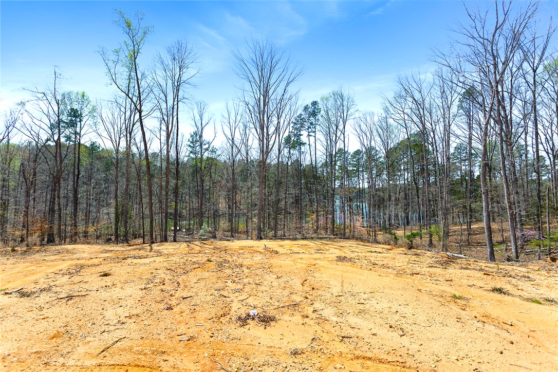 605 Elizabeth (lot 1) Road, Westminster, South Carolina image 10