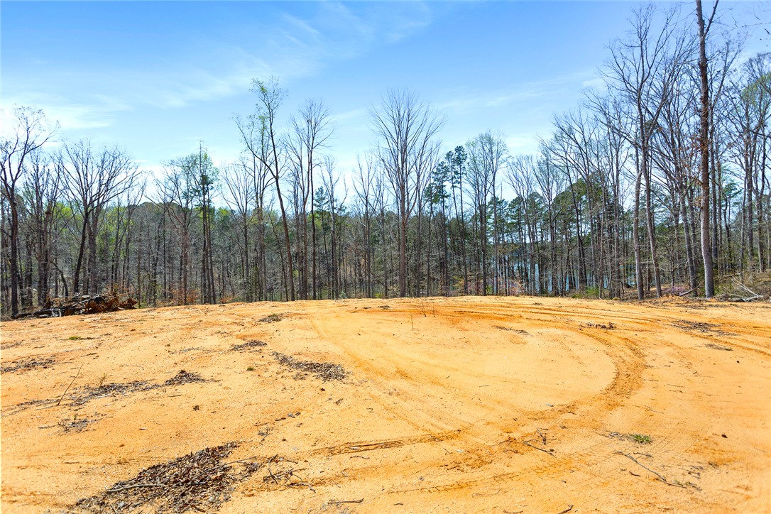 605 Elizabeth (lot 1) Road, Westminster, South Carolina image 16