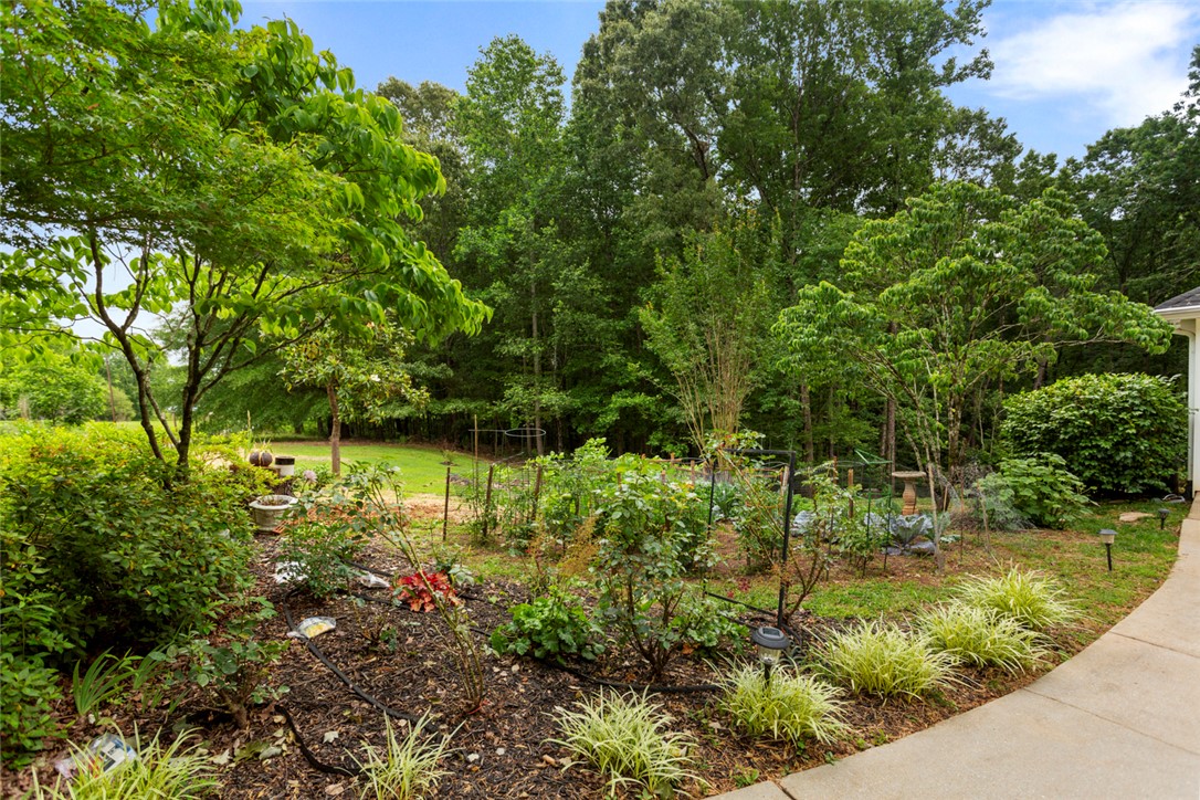 155 Heritage Drive, Walhalla, South Carolina image 40