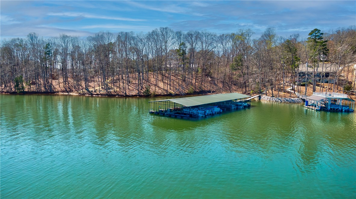 236 Riverlake Road, Fair Play, South Carolina image 9