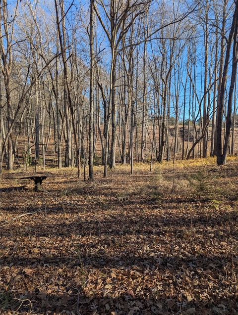 Vacant Land For Sale - 000 Pleasant Hill Court<br/> Pickens County, Central, SC 29630