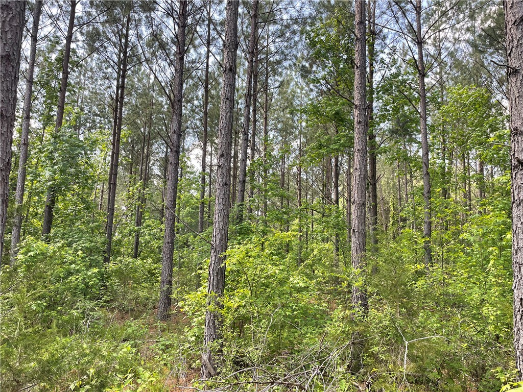 3864 Lincoln Road, Gray Court, South Carolina image 18
