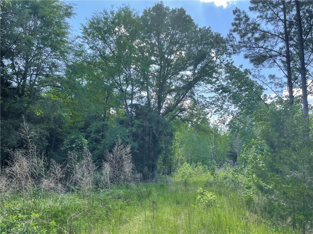 3864 Lincoln Road, Gray Court, South Carolina image 20