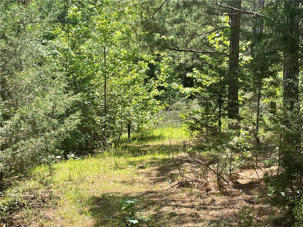 3864 Lincoln Road, Gray Court, South Carolina image 13