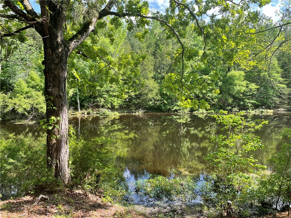 3864 Lincoln Road, Gray Court, South Carolina image 2
