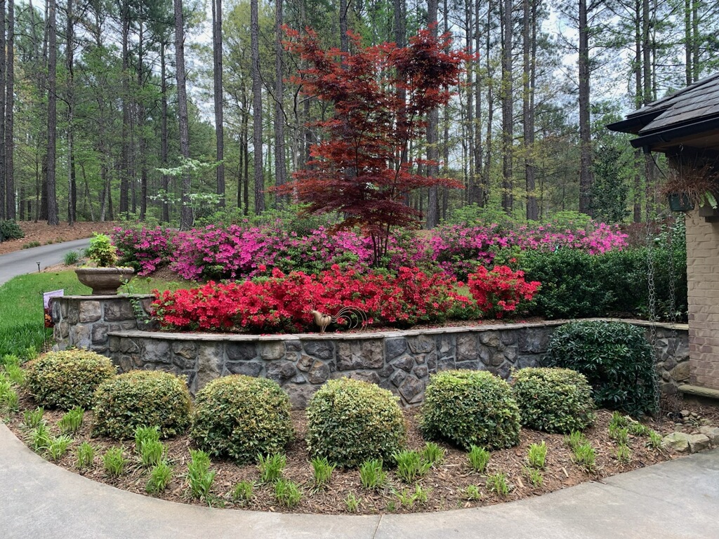 311 Top Ridge Drive, Sunset, South Carolina image 44