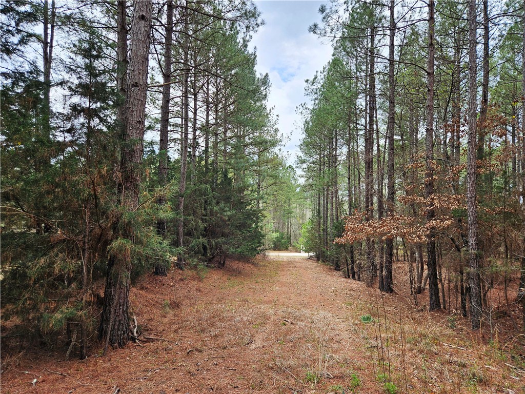 00 Southview Drive, Iva, South Carolina image 19