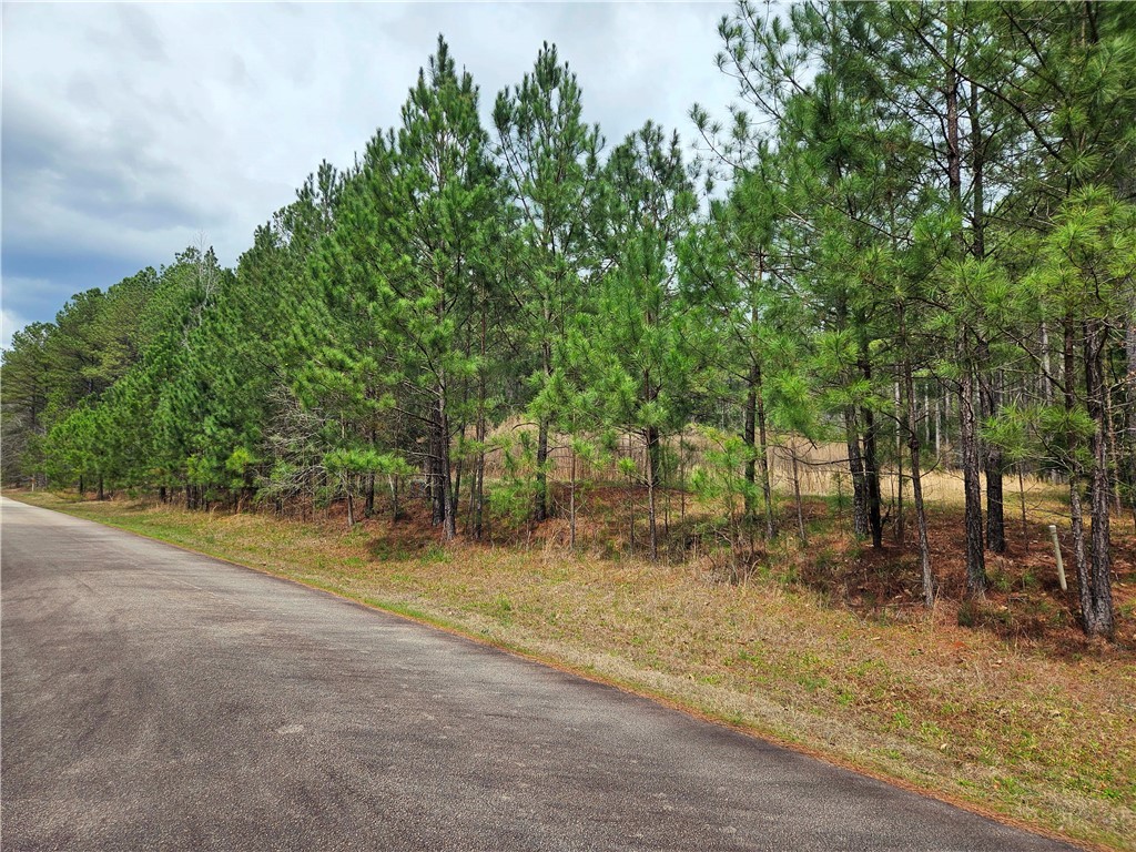 00 Southview Drive, Iva, South Carolina image 5