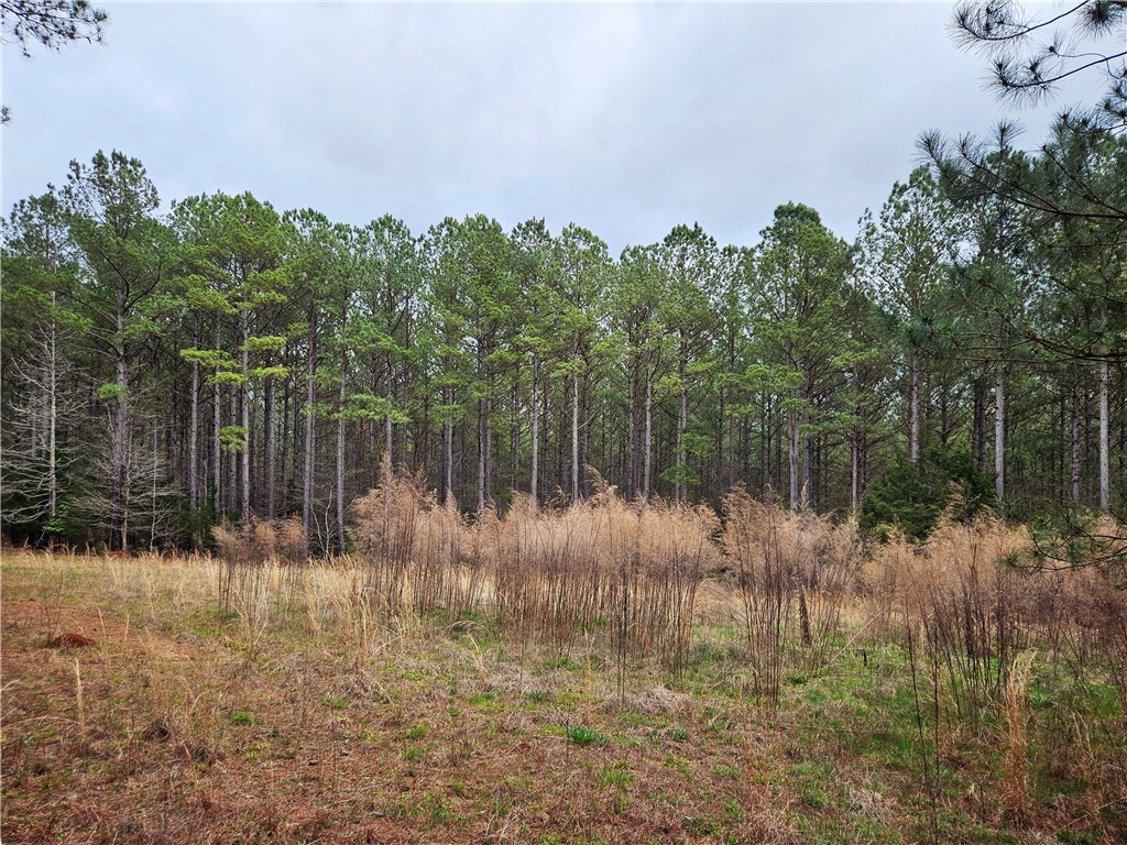 00 Southview Drive, Iva, South Carolina image 18