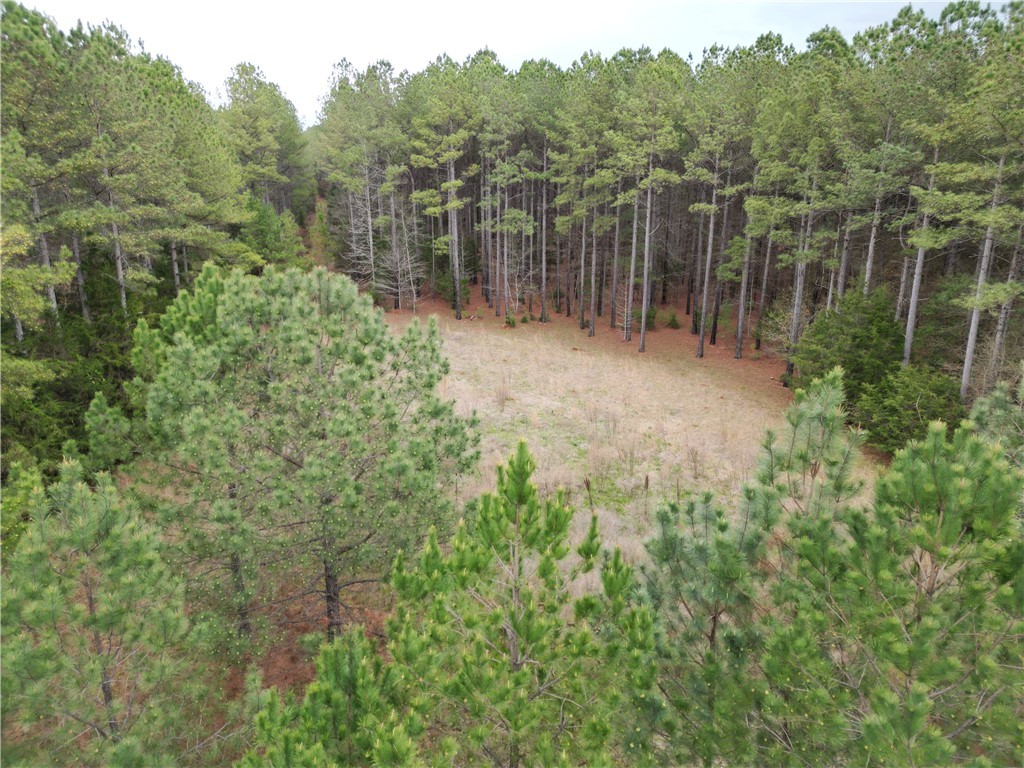 00 Southview Drive, Iva, South Carolina image 16