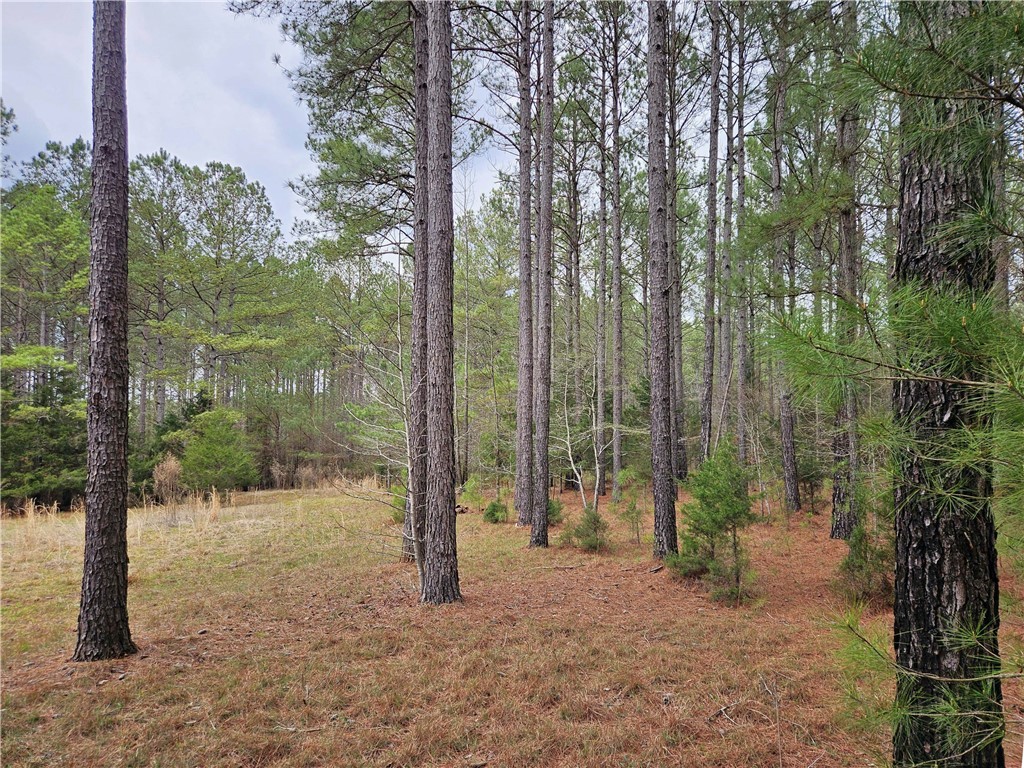 00 Southview Drive, Iva, South Carolina image 17