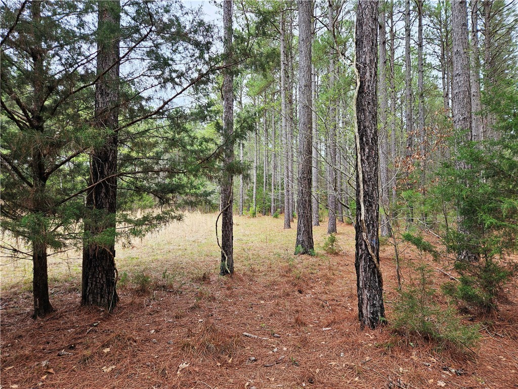 00 Southview Drive, Iva, South Carolina image 10