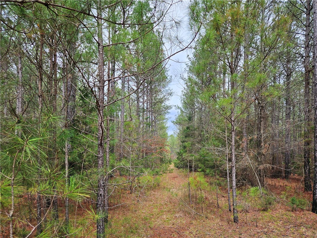 00 Southview Drive, Iva, South Carolina image 12