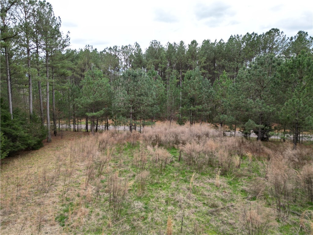 00 Southview Drive, Iva, South Carolina image 15