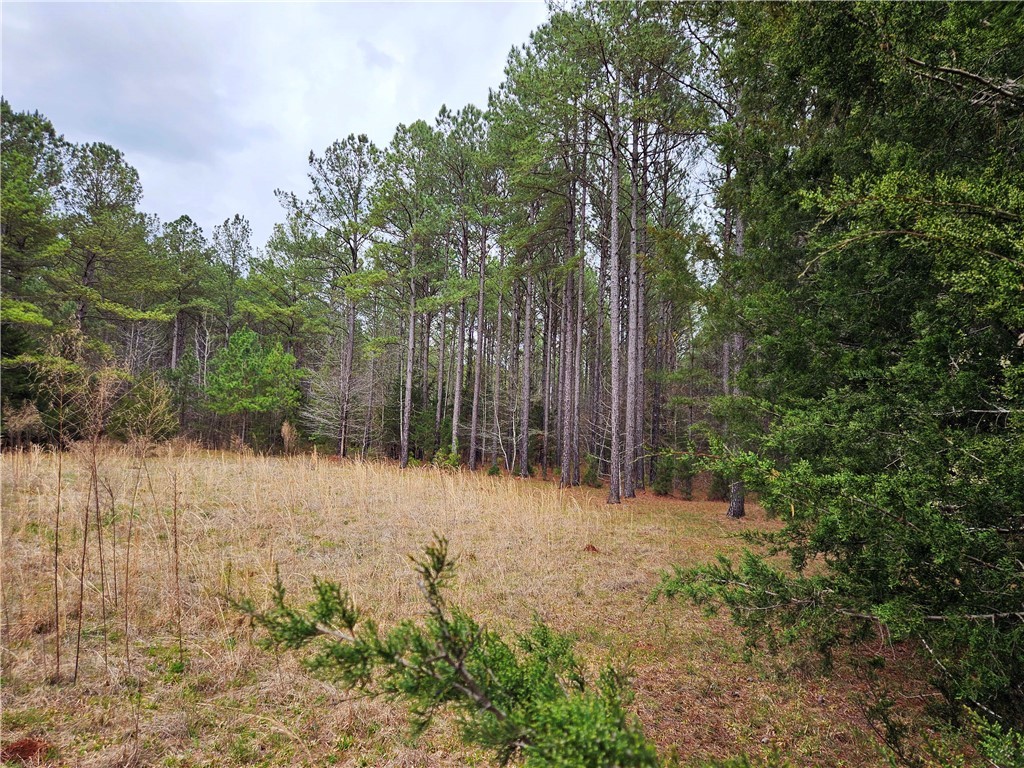 00 Southview Drive, Iva, South Carolina image 8