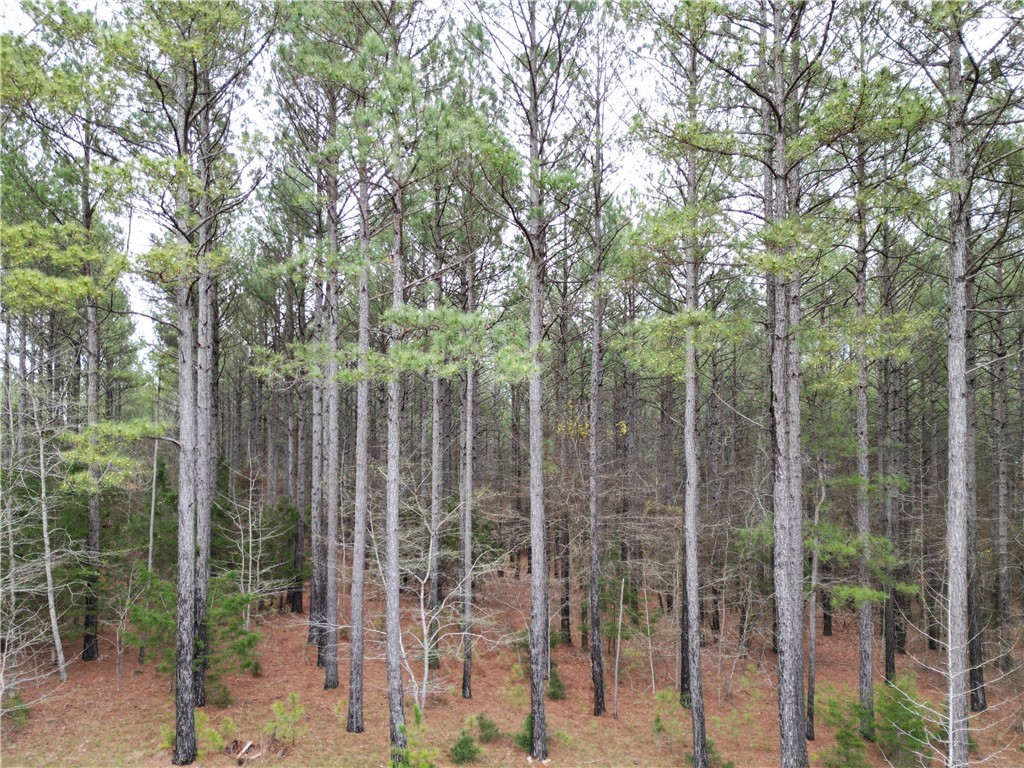 00 Southview Drive, Iva, South Carolina image 14