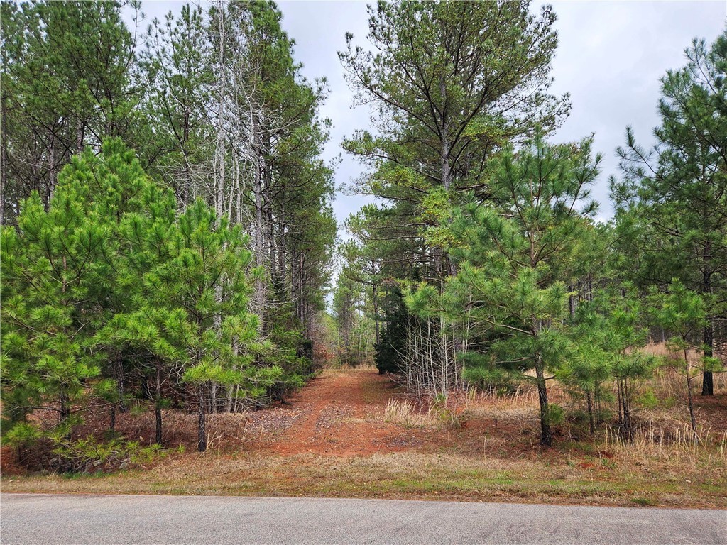 00 Southview Drive, Iva, South Carolina image 7