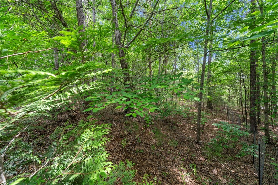 405 Whispering Lane, Seneca, South Carolina image 36