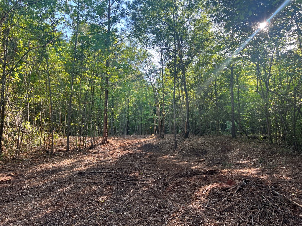 Lot 3 Broadway Lake Road, Anderson, South Carolina image 12
