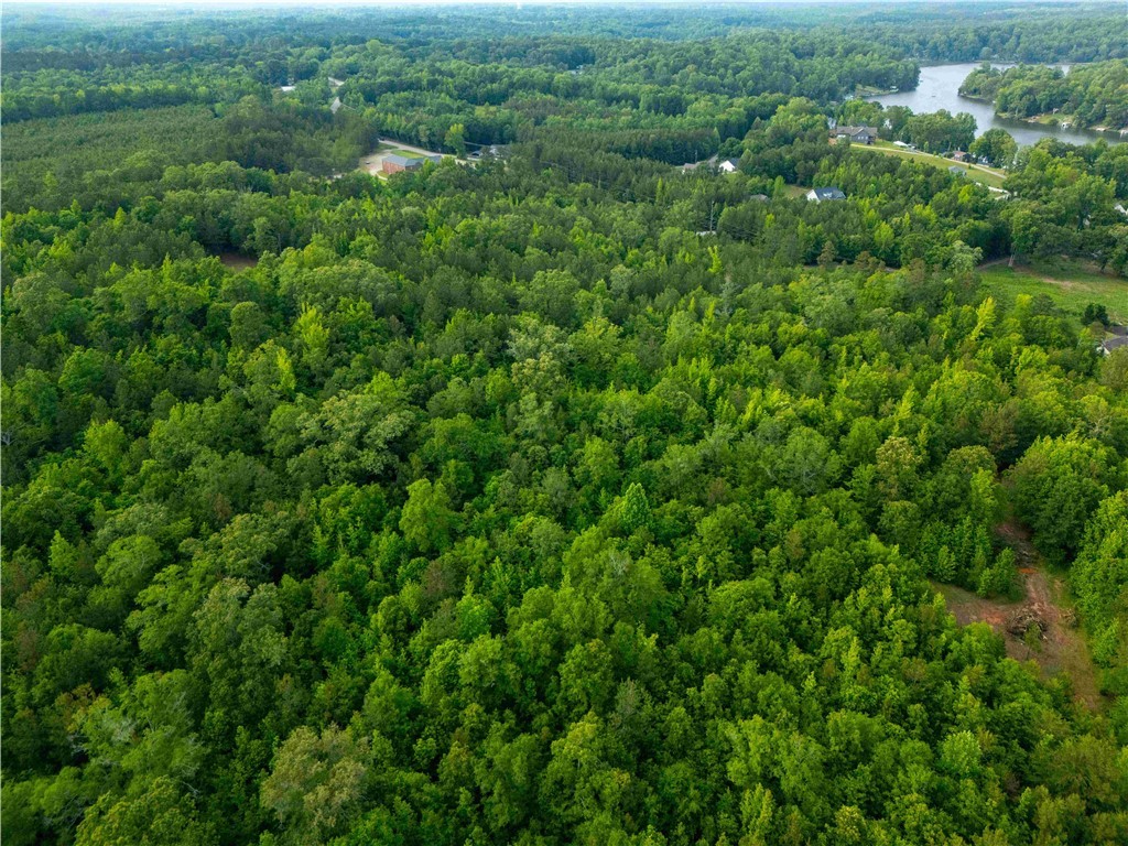 Lot 3 Broadway Lake Road, Anderson, South Carolina image 2