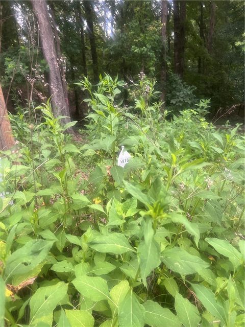 Vacant Land For Sale - 00 S Arrowhead Drive<br/> Westminster, SC 29693