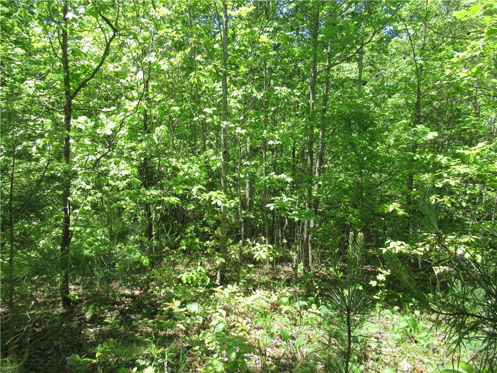 6 Emerald Crest Lane, Cleveland, South Carolina image 5