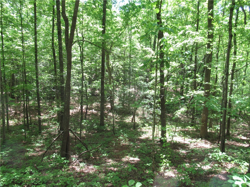 6 Emerald Crest Lane, Cleveland, South Carolina image 20