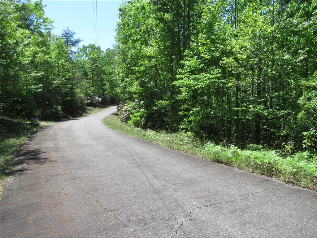 6 Emerald Crest Lane, Cleveland, South Carolina image 1