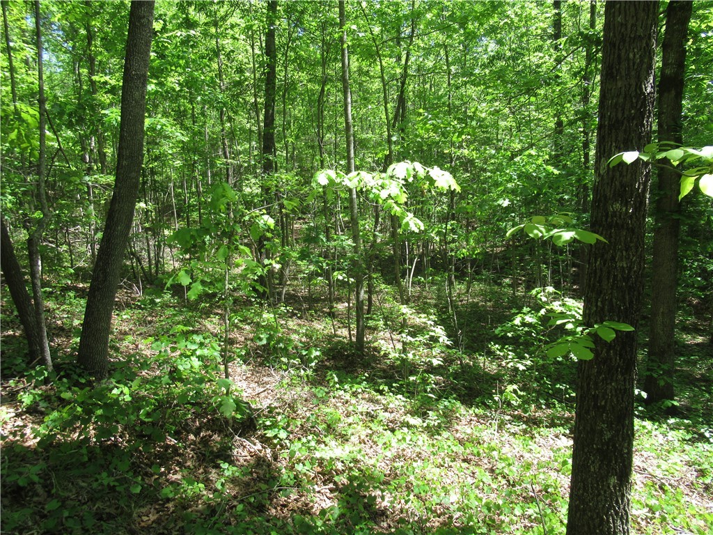 6 Emerald Crest Lane, Cleveland, South Carolina image 19
