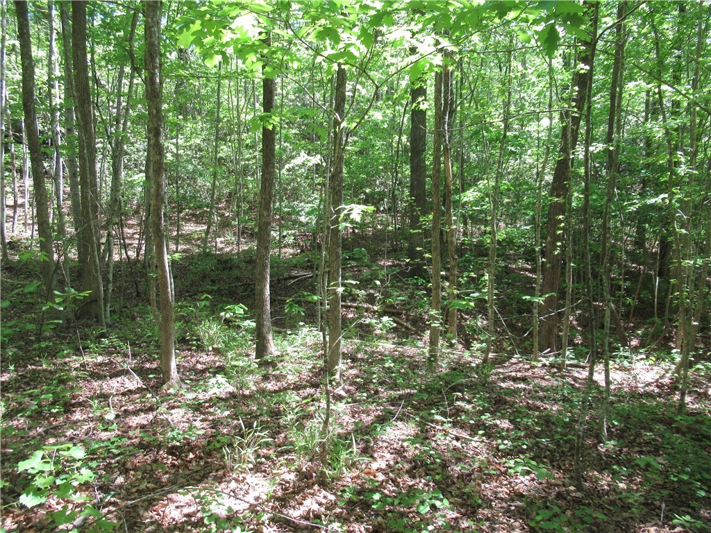 6 Emerald Crest Lane, Cleveland, South Carolina image 22