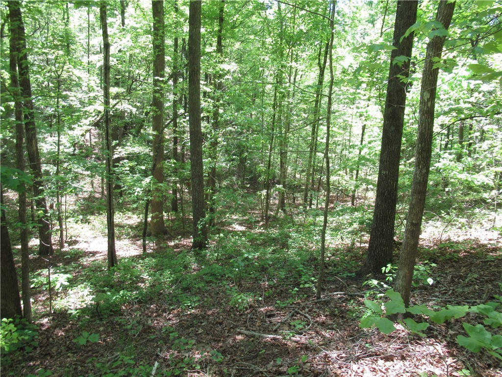 6 Emerald Crest Lane, Cleveland, South Carolina image 18