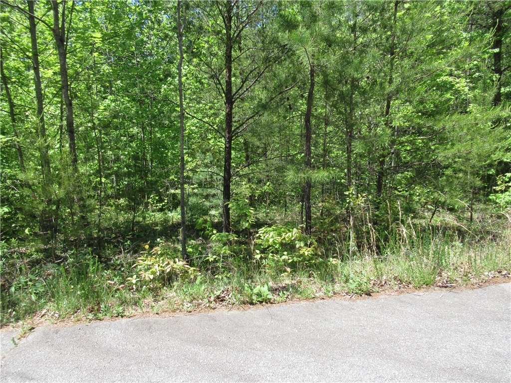 6 Emerald Crest Lane, Cleveland, South Carolina image 3