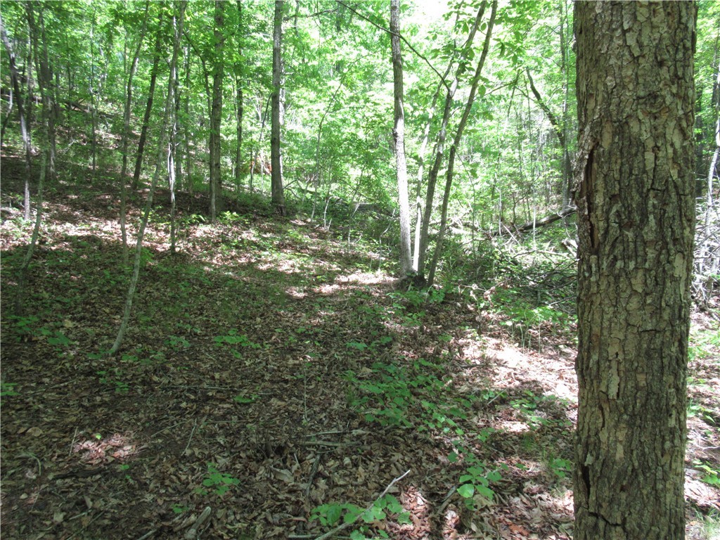 6 Emerald Crest Lane, Cleveland, South Carolina image 16