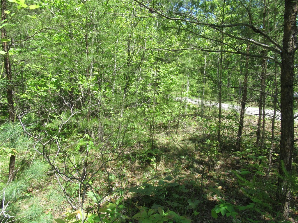 6 Emerald Crest Lane, Cleveland, South Carolina image 6