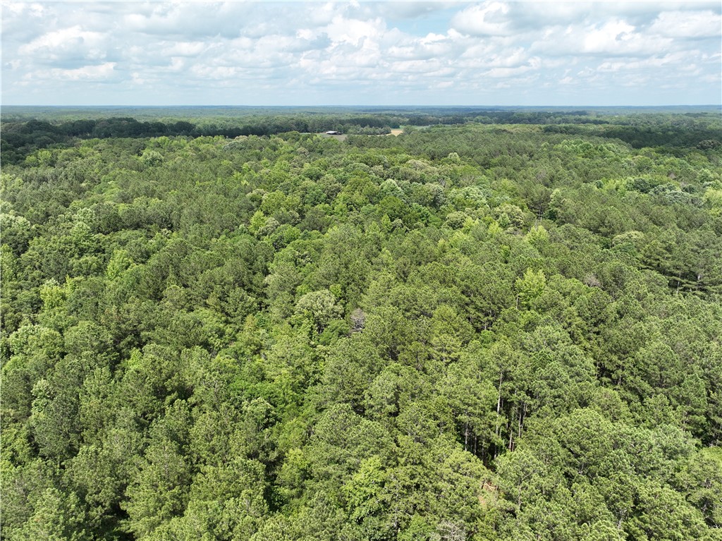 100 Gene Fleming Road, Iva, South Carolina image 10