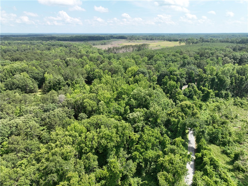 100 Gene Fleming Road, Iva, South Carolina image 9