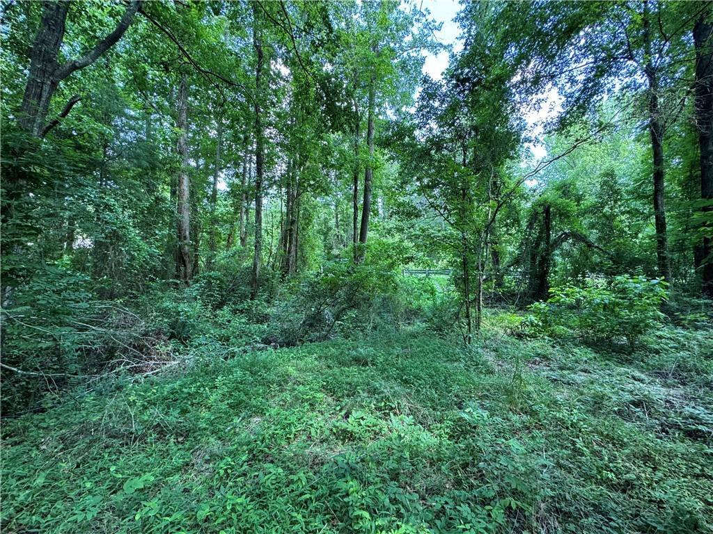100 Gene Fleming Road, Iva, South Carolina image 15