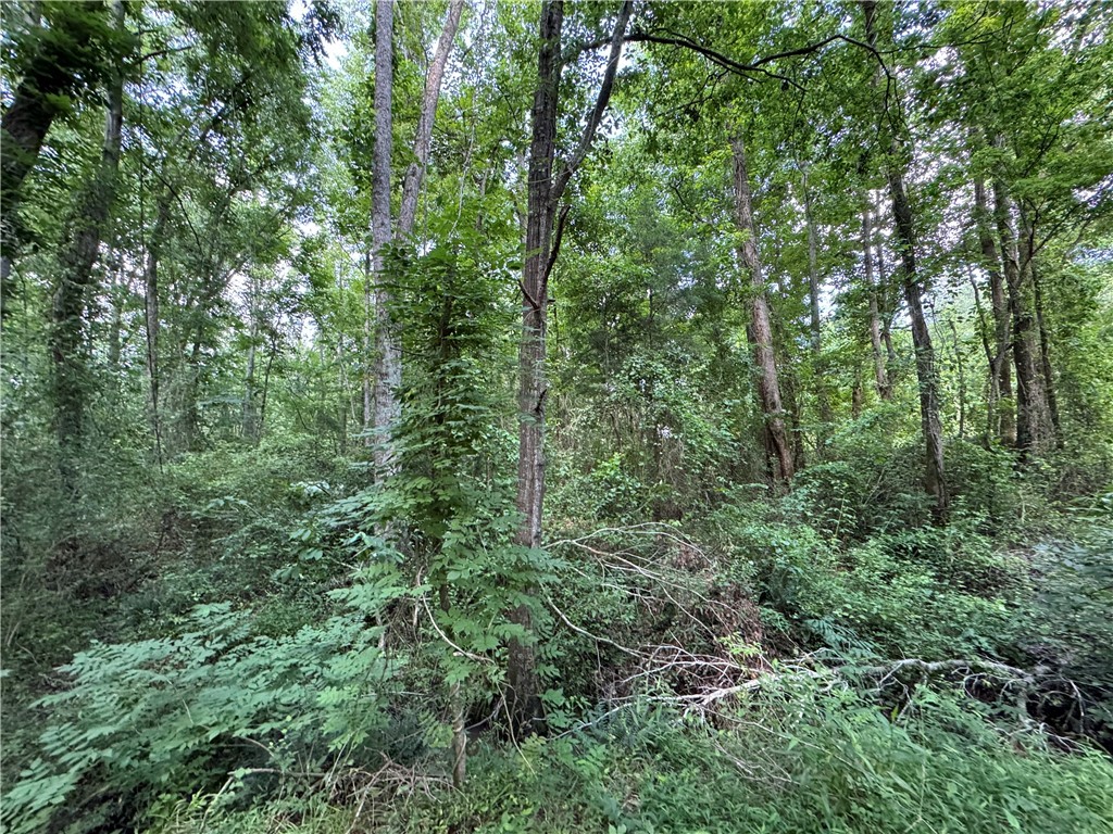 100 Gene Fleming Road, Iva, South Carolina image 16