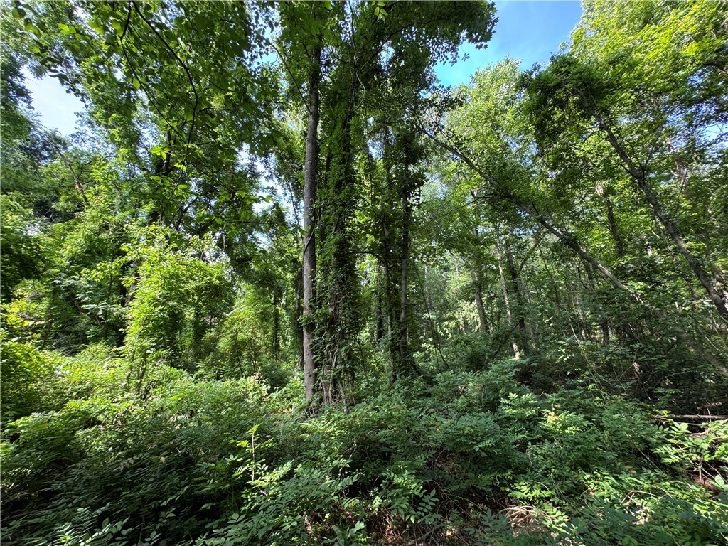 100 Gene Fleming Road, Iva, South Carolina image 28