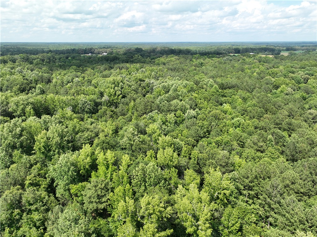 100 Gene Fleming Road, Iva, South Carolina image 8